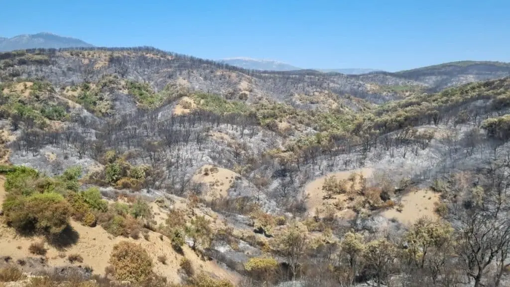 protection incendie au maroc ,Incendie Chefchaouen-foret-Derdara
