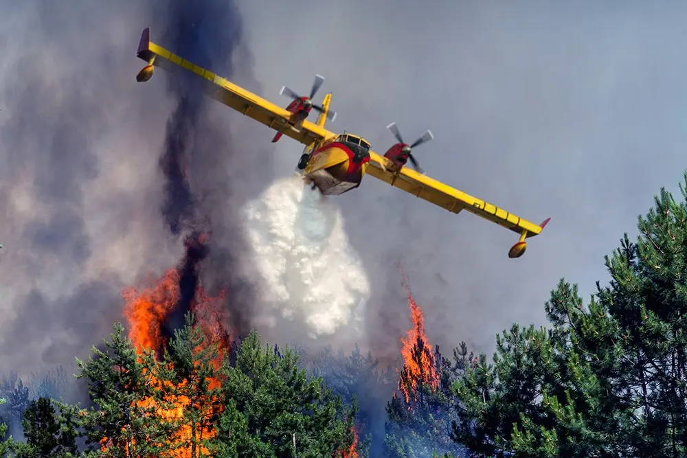 Zone détruite par l’incendie de Chefchaouen – 500 hectares